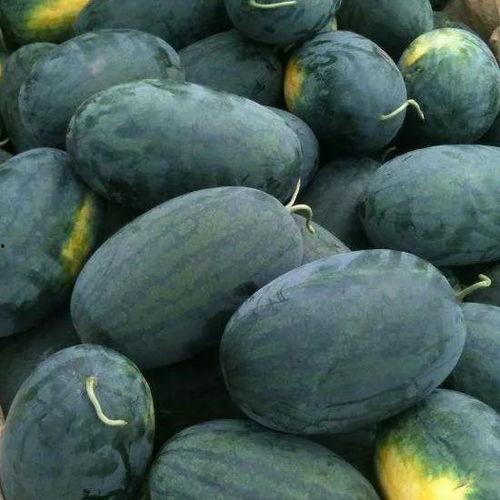 吃瓜湖北,探寻荆楚美食文化之旅