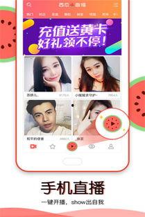 在线直播吃瓜,揭秘网络红人的幕后故事