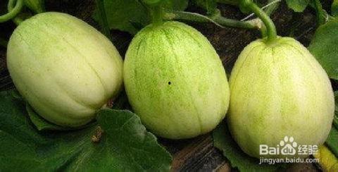 吃瓜如何更香,揭秘如何让吃瓜更香